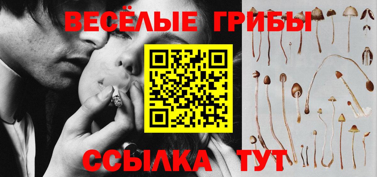 Галлюциногенные грибы мухоморы Заводоуковск