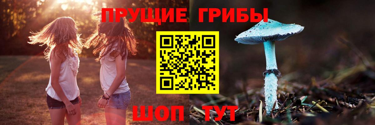 Заводоуковск  Псилоцибиновые грибы мицелий  Вход с VPN 